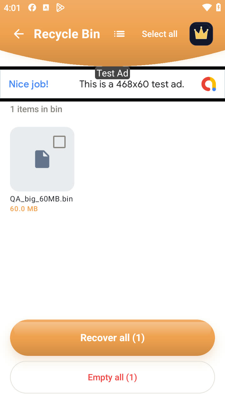Recycle Bin with a restored file